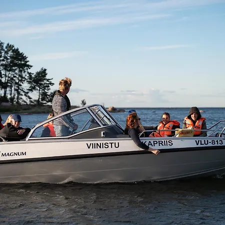 Art 3* Viinistu