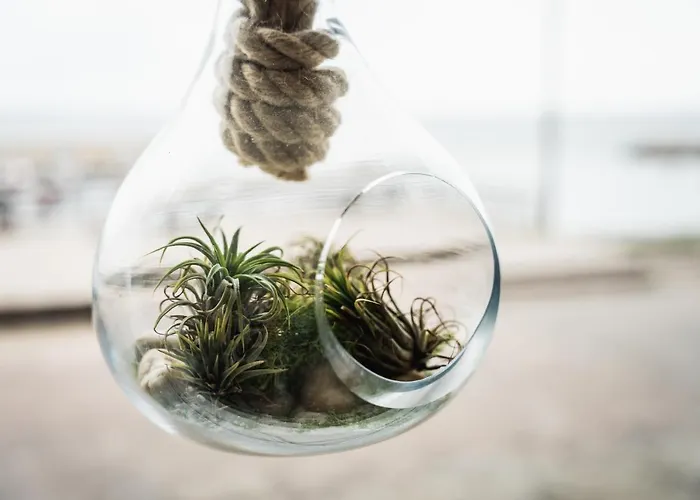 Ξενοδοχείο Art